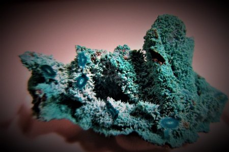 Doppel-Pseudomorphose.Chrysokoll nach Azurit nach Malachit Lupoto Mine,Katanga,Kongo.jpg