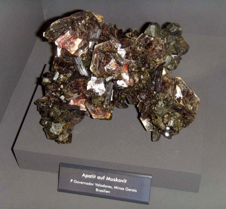 _terra mineralia_Apatit auf Muskovit_Governador Valadares_Minas Gerais_Brasilien_Peter_16.10.10.JPG