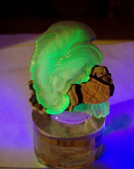 _Chalcedon-Ohr_NS-Format_UV LW_New Mexiko_USA_Peter.jpg