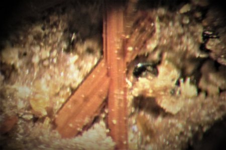 Amphibol Nickenich,Eifel.JPG