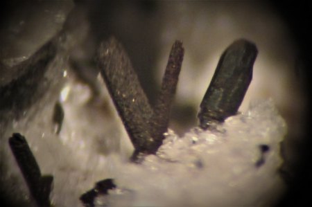 Pyroxferroit Bellerberg,Eifel.JPG