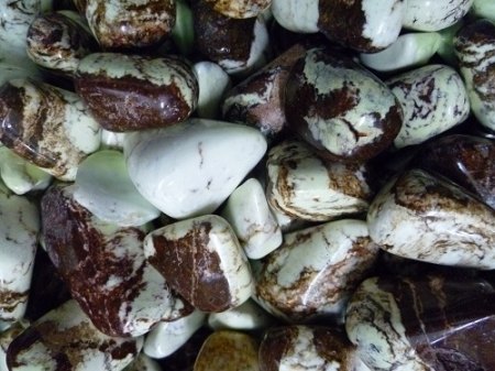 Chrysopras Zitronen-Chrysopras.JPG