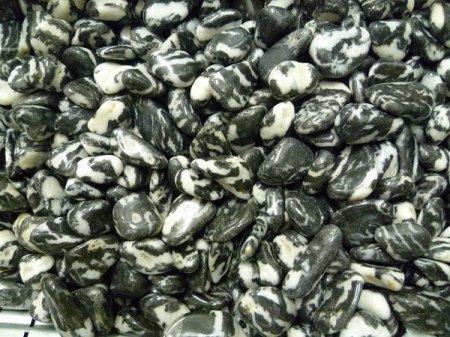 Marmor Zebra-Marmor.JPG