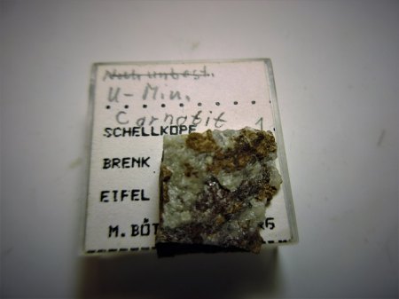 Vandermeerscheit Schellkopf,Eifel (2).JPG