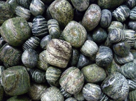 Serpentin Silberauge.JPG