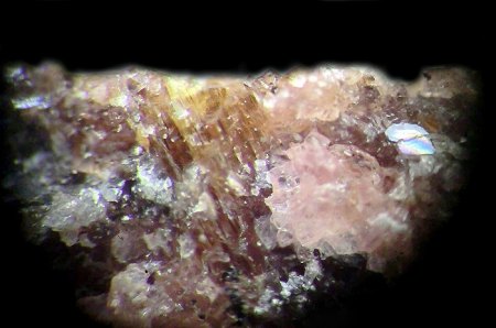 _Hjalmarit xx gelb_Rhodonit xx rosa u.a._BB 4 mm_Langban Mine_Langban_Filipstad_Värmland_Schweden_TL_Peter.jpg