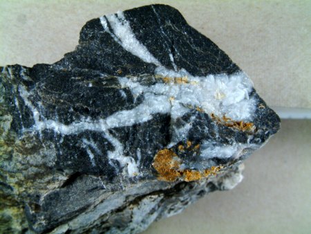 Fossil 1