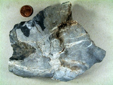 Fossil 2