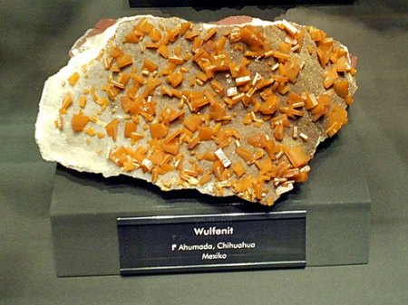 Wulfenit Chihuahua,Mexiko RSCN6402.jpg