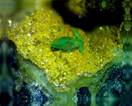 Schneeberg im Erzgebirge und seine Mineralien