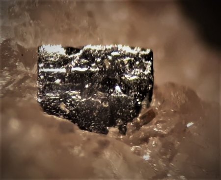 Mikromount-Auswahl aus Sammlung Norbert