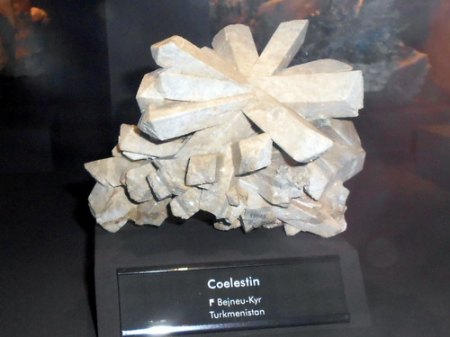 Coelestin,TurkmenistanRSCN6267.jpg