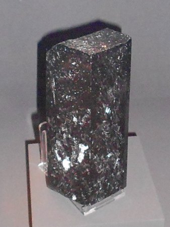 Dravit Pilhere,AustralienRSCN6394.jpg