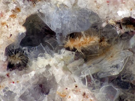 Amphibol,Tridymit