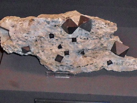 Magnetit Flinders Range,AustralienRSCN6390.jpg