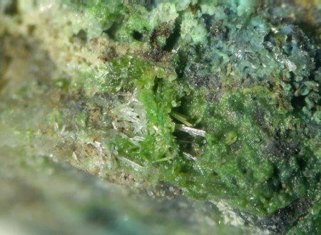 Mallestigit