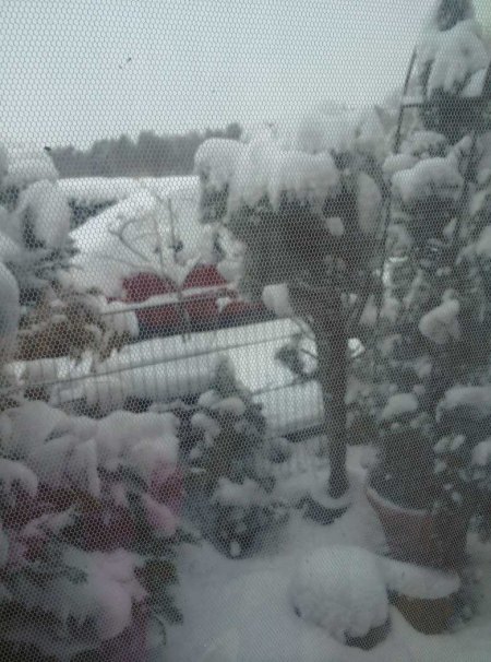 Vom Wohnzimmerfenster Blick zum Auto
