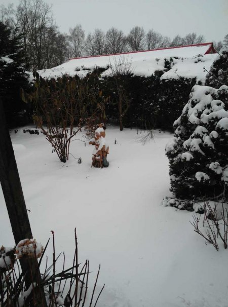 Garten wieder voll im Schnee versunken