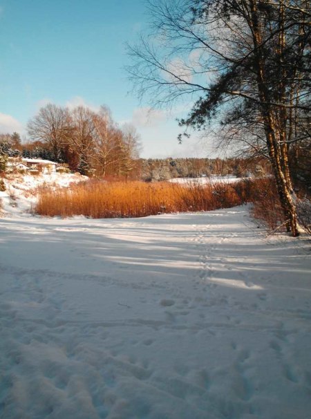 Blick auf den zugefrorenen See