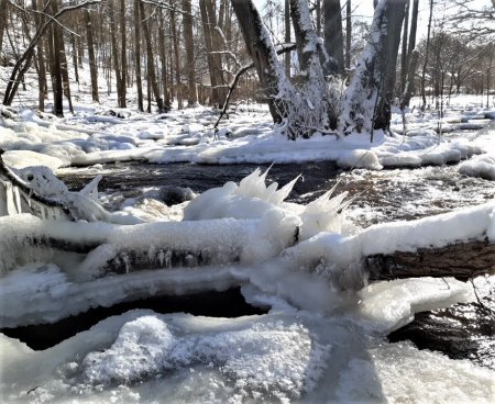 Wintereinbruch in Soltau