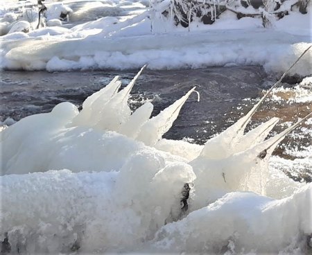 Wintereinbruch in Soltau