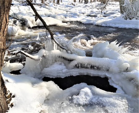 Wintereinbruch in Soltau