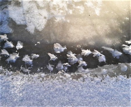 Wintereinbruch in Soltau