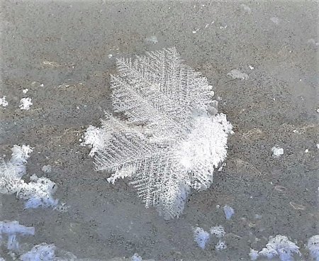 Wintereinbruch in Soltau