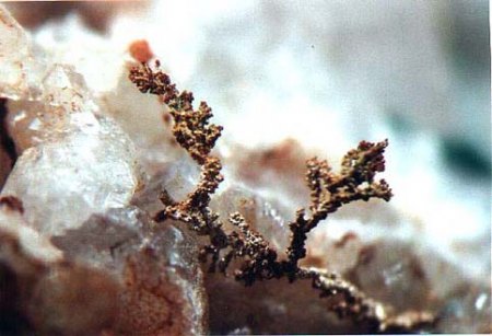[ WIKI ] Silber