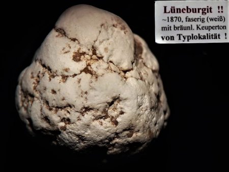 Die Gipsbrüche von Lüneburg