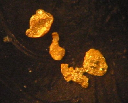 Gold (Nossen).jpg
