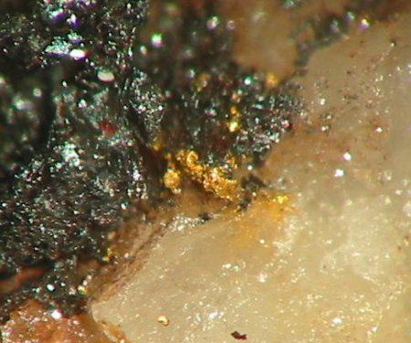 Gold (Schiffskuppe).jpg