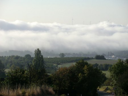 Taunus - Wiesbaden-Frauenstein - Arsenate