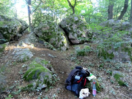 Taunus - Wiesbaden-Frauenstein - Arsenate
