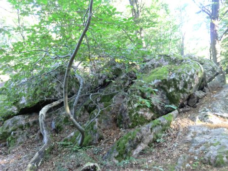 Taunus - Wiesbaden-Frauenstein - Arsenate