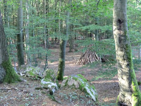Taunus - Wiesbaden-Frauenstein - Arsenate
