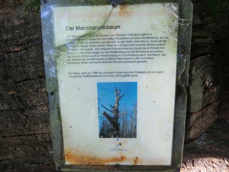 Taunus - Wiesbaden-Frauenstein - Arsenate