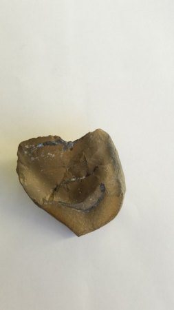 Fund aus Buttenheim - Rückseite