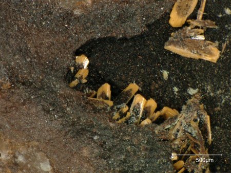 Moctezumit - Moctezuma Mine, Bambolla, Sonora, Mexiko