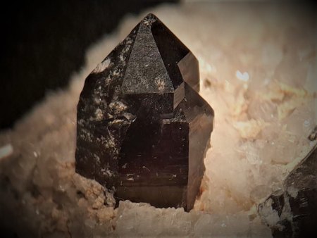 Waldstein