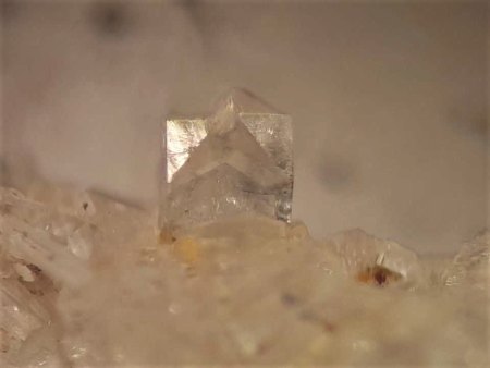 Mikromount-Auswahl aus Sammlung Norbert