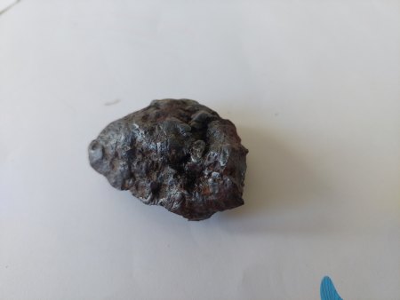 Fund in den Weinbergen