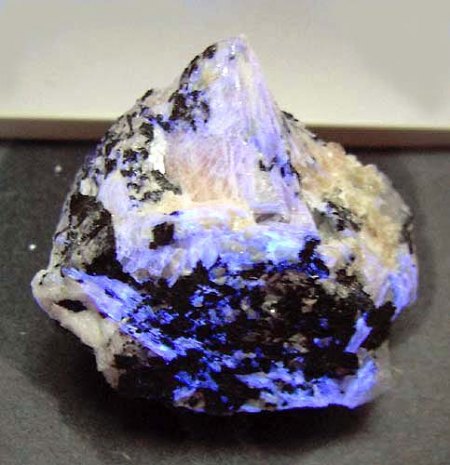 _Baratovit_Miserit_Dara- i-Pioz_Tien Shan_Tadschikistan_UV-KW_Peter.jpg