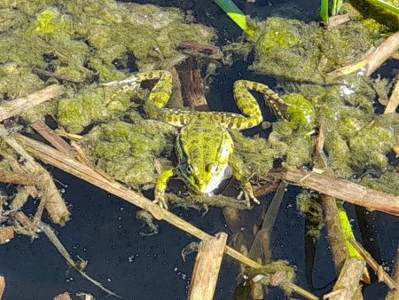 Bilder von Fauna und Flora