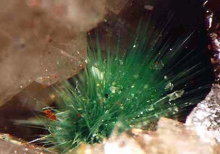 Mineralienkabinett McSchuerf