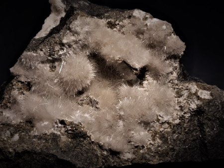 Fundort-Steckbrief "Zeilberg bei Maroldsweisach"