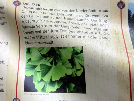 Urlaubsgrüsse