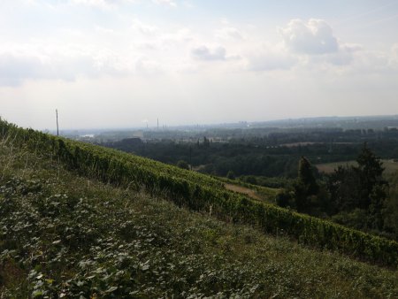 Urlaubsgrüsse