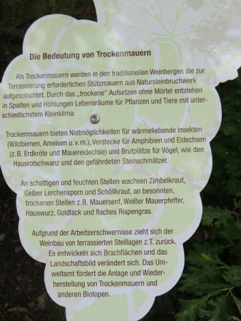 Urlaubsgrüsse