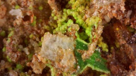 Torbernit und unbekanntes Mineral